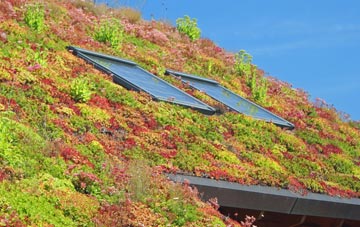 Penrhyn Castle living roof systems